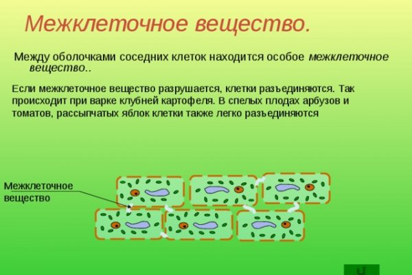 Рабочая ссылка на мегу